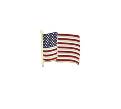 US FLAG PIN, WAVY